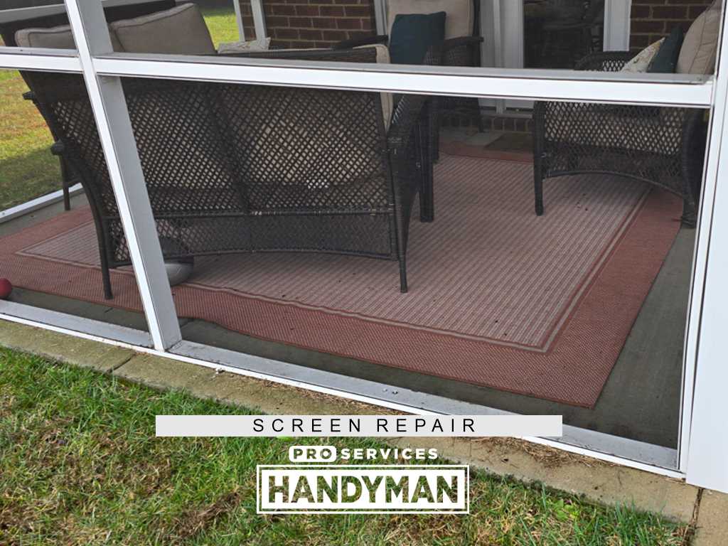Screen Repair completed by Pro Services Handyman