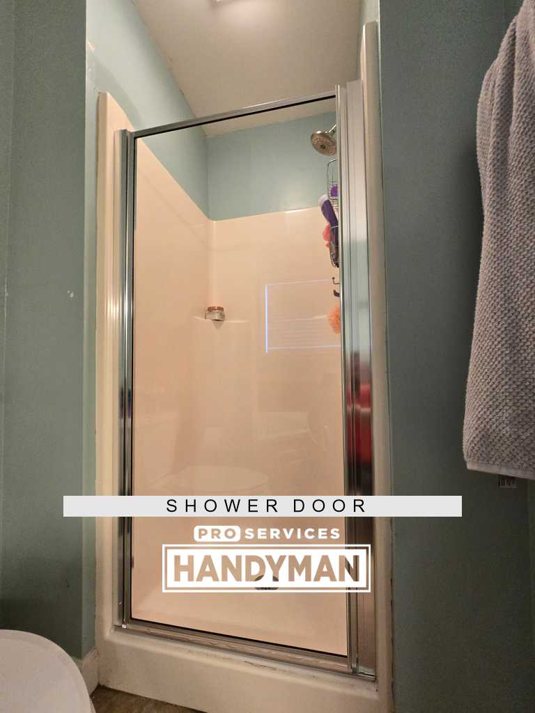 Shower Door completed by Pro Services Handyman